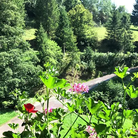 Comfortable In Baiersbronn With Balcony Buhlbach