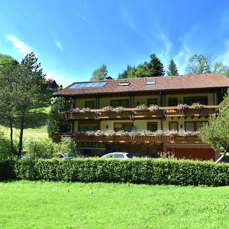 Apartment Comfortable In Baiersbronn With Balcony