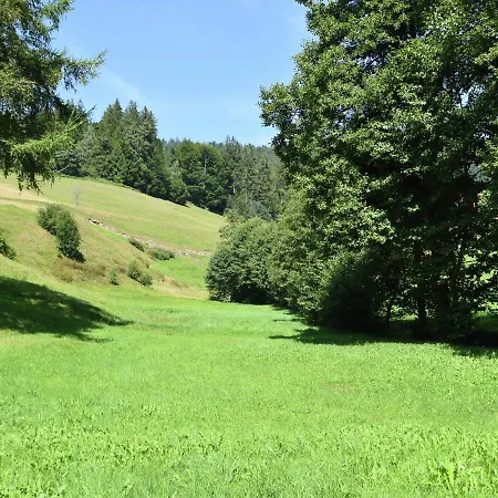Comfortable In Baiersbronn With Balcony Apartment Buhlbach