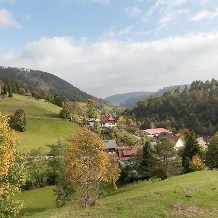Apartment Comfortable In Baiersbronn With Balcony Buhlbach