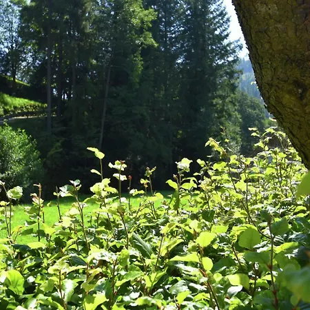 Comfortable In Baiersbronn With Balcony Buhlbach