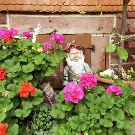 Apartment Comfortable In Baiersbronn With Balcony Buhlbach