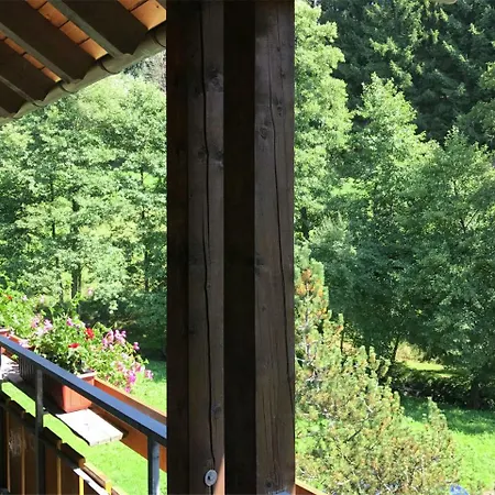 Comfortable In Baiersbronn With Balcony *