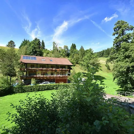 Comfortable In Baiersbronn With Balcony Apartment Buhlbach