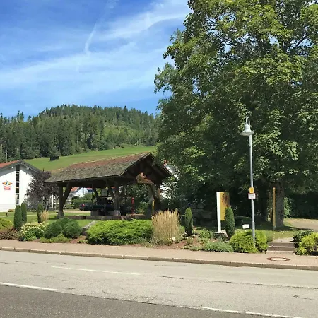 Comfortable In Baiersbronn With Balcony Apartment *