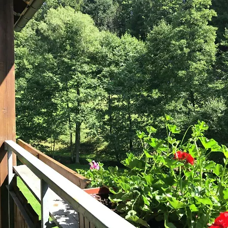Comfortable In Baiersbronn With Balcony Buhlbach